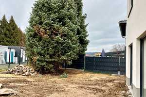 Frei stehendes Einfamilienhaus, Erstbezug Stadtnahe, dennoch ruhige Wohnlage! Energetisch TOP! – Dresden – Vorschaubild 7