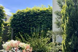 Exklusive Gartenwohnung  *** PROVISIONSFREI von PRIVAT *** – Die vollständige Adresse der Immobilie erhältst du vom Anbieter., 85053 Südost, Ingolstadt – Vorschaubild 17