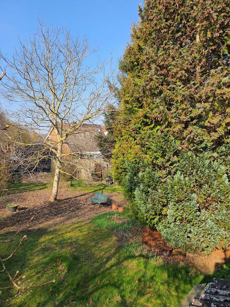 Immobilie in Einbeck - Charmantes Einfamilienhaus in Einbeck- Kreiensen- maklerfrei - Bild 2