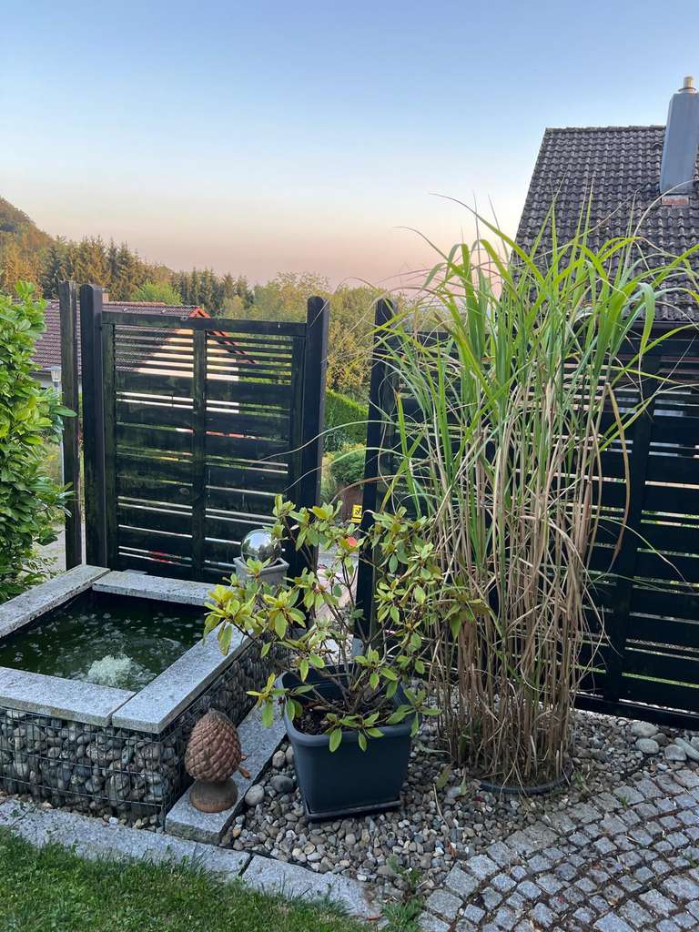 Immobilie in Heiligenberg - In  paradiesischer Lage DHH inkl. Gäste Apartment mit himmlischem Panoramaausblick - Bild 2