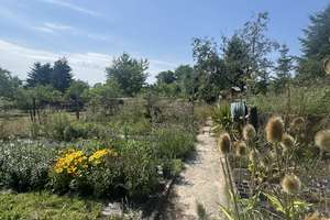Wohnen & Leben mit Herz-ein Zuhause zum Ankommen mit viel Platz für Ihre Wohnträume&Gartenparadies – Die vollständige Adresse der Immobilie erhältst du vom Anbieter., 3130 Spremberg – Vorschaubild 13