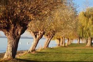 6 Zimmer im Grünen am Schweriner See – Storchenweg 6b, 19067 Dobin am See – Vorschaubild 35
