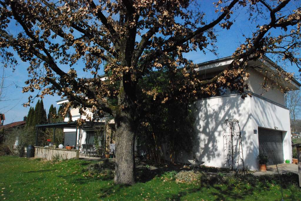 Immobilie in Ummendorf - Großzügig, modern und gepflegt - Einfamilienhaus mit 7 Zimmern in Ummendorf - Bild 1