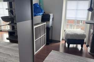 *ab 01.08.*  3-Zimmer-Dachgeschoßwohnung mit bodentiefen Sprossenfenstern und Balkon – Fröbelstr. 94, 47053 Hochfeld, Duisburg – Vorschaubild 10