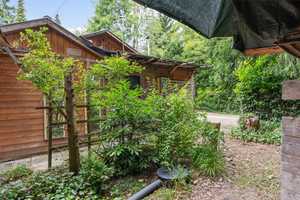 Freizeitgrundstück mit Wochenendhütte im Roten Gries (Baggersee) – Ingolstadt – Vorschaubild 22