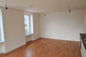1.000 EUR FRÜHLINGSGUTSCHEIN SICHERN: SAY "HELLO" TO HENRI ... – Nelkenweg 10, 38446 Hellwinkel, Wolfsburg – Vorschaubild 9