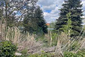 Einfamilienhaus mit großem Grundstück in Kleinkühnau – Dessau-Roßlau – Vorschaubild 13