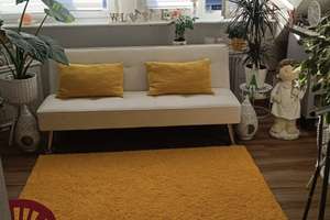 Kompaktes Apartment: Wohnraum in der Pforzheimer Oststadt