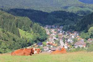Top Häuschen  - 3 Zimmer+Bad+ große Wohnküche, gr.Gar. in Alpirsbach- Rötenbach – Die vollständige Adresse der Immobilie erhältst du vom Anbieter., 72275 Alpirsbach – Vorschaubild 18