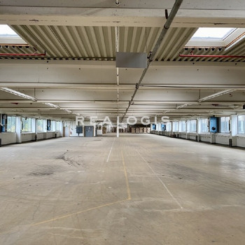 Delbrück, ca. 5.353 m² Lager- und Logistikhallenfläche mit Rampen zu vermieten