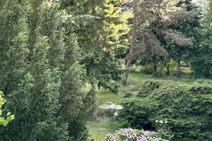 Property thumbnail 18