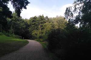 Property thumbnail 10