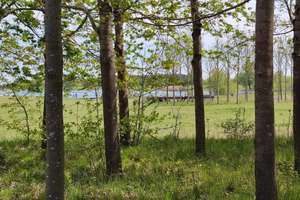 Riemer See Park - 3-Zi. 79 m², Loggia + TG/Wallbox, Vollbad + Minibad - frisch renoviert, 1. OG, A+ – Georg-Kerschensteiner-Straße 43, 81829 Messestadt Riem, München – Vorschaubild 19