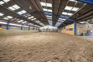 Küstennaher Reiterhof mit Reithalle und 5 Ferienwohnungen plus 7 ha. Land – Friesland (Kreis) – Vorschaubild 5