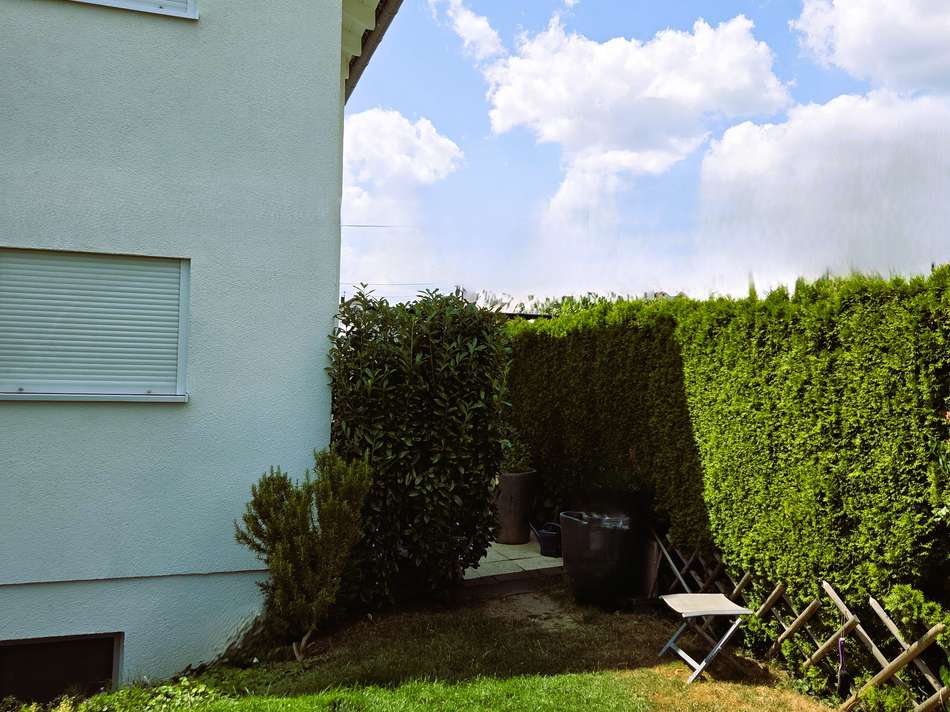 Garten3