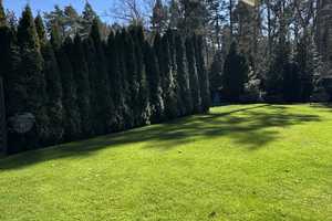 Einfamilienhaus in Wandlitz/ Ortsteil Stolzenhagen – Barnim (Kreis) – Vorschaubild 25