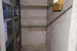 Bezugsfreie 4-Zimmer-Wohnung in Berlin Grünau – Rießerseestraße 8, 12527 Grünau, Berlin – Vorschaubild 18