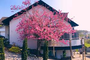 RESERVIERT             Großzügiges, lichtdurchflutetes Einfamilienhaus mit Nebengebäude – Die vollständige Adresse der Immobilie erhältst du vom Anbieter., 57413 Finnentrop – Vorschaubild 14