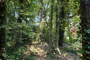 Familienidyll mit großem Garten, Garage und viel Potenzial in sehr begehrter Wohnlage - Bezugsfrei! – Die vollständige Adresse der Immobilie erhältst du vom Anbieter., 90768 Oberfürberg, Eschenau, Fürth – Vorschaubild 24