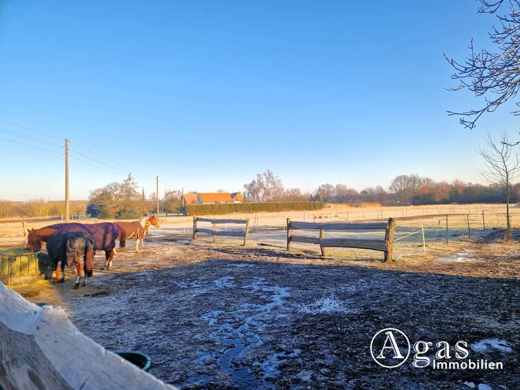 Immobilie in Küstriner Vorland - Modernisiertes Landhaus mit Scheune und Nebengebäuden auf fast 2 Hektar großem Grundstück - Bild 1