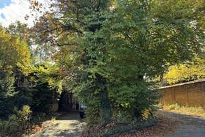 Hofheim Kapellenberg – Bestlage mit Aussicht!    Einzigartige Villa im Bauhausstil zu verkaufen – Die vollständige Adresse der Immobilie erhältst du vom Anbieter., 65719 Hofheim am Taunus – Vorschaubild 2