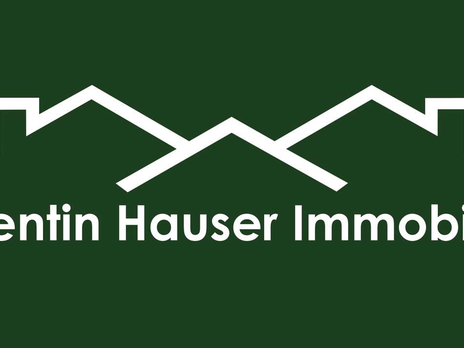 Valentin Hauser Immobilien Log