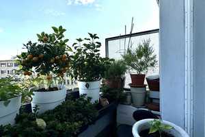 Property thumbnail 17