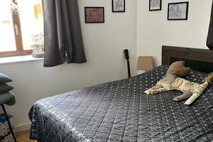 Moderne 2-Zimmer-Wohnung mit Terrasse im Denkmal nahe Zwenkauer See – Rundkapellenweg 24, 4249 Hartmannsdorf-Knautnaundorf, Leipzig – Vorschaubild 16