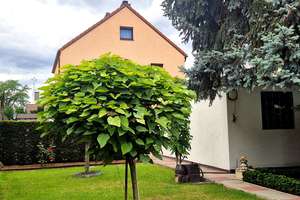 SELTEN im Stadtgebiet ! 717m² Grundstück - massives 2 Parteienhaus  - vielseitige Bebauung möglich – Neues Leben 29, 68305 Käfertal, Mannheim – Vorschaubild 3