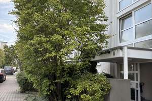 Sonnendurchflutete, großzügige Maisonettewohnung mit eigenem Garten in Frankfurt Nähe Stadtwald – 60599 Oberrad, Frankfurt am Main – Vorschaubild 3