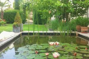 Property thumbnail 35