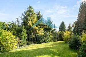 Dreifamilienhaus mit Baugrundstück - in beliebter Lage von Kassel-Wehlheiden! – Die vollständige Adresse der Immobilie erhältst du vom Anbieter., 34121 Wehlheiden, Kassel – Vorschaubild 28