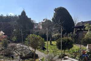 Grosses 2-Familienhaus zzgl. ausgebautem Dachgeschoss mit herrlichem Gartengrundstück, Hof u Garage – Bergstraße (Kreis) – Vorschaubild 18