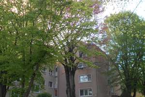 Kapitalanlage! Vermietete 2 Zimmer-Wohnung in zentraler Lage von Wiesbaden! – Wielandstraße 45, 65187 Südost, Wiesbaden – Vorschaubild 1
