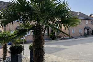 Großzügige Doppelhaushälfte mit Garten – Schürenhof 57, 47228 Bergheim, Duisburg – Vorschaubild 5
