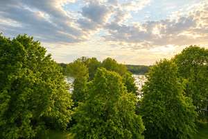 Charmante Eigentumswohnung mit großzügigem Wohnbereich und Balkon - Mit Erbpacht – Die vollständige Adresse der Immobilie erhältst du vom Anbieter., 38448 Tiergartenbreite, Wolfsburg – Vorschaubild 2