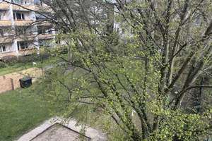 Bezugsfertige 3-Zimmer mit Balkon in Neukölln – Die vollständige Adresse der Immobilie erhältst du vom Anbieter., 12059 Neukölln (Ortsteil), Berlin – Vorschaubild 8