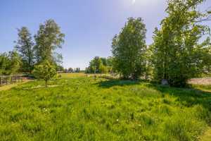 * Idyllisches Reiteranwesen in Wymeer-Einfamilienhaus mit Reitplätzen*  7935 qm   Grundstücksfläche  – Leer (Kreis) – Vorschaubild 9