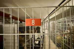 Property thumbnail 17