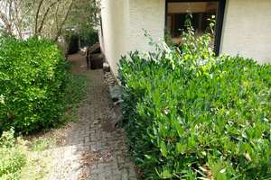 Freistehendes großzügiges EFH in Toplage, 145-m², 8ZK2BGäWC, Terrasse, Garten, Garage, 767 m² – Kehlweg 68, 55124 Gonsenheim, Mainz – Vorschaubild 18
