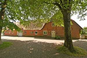 Vielseitig nutzbares Reetdachanwesen mit 2 Wohneinheiten und Ladenflächen – Süderlügum, Nordfriesland (Kreis), 25923 Nordfriesland (Kreis) – Vorschaubild 3