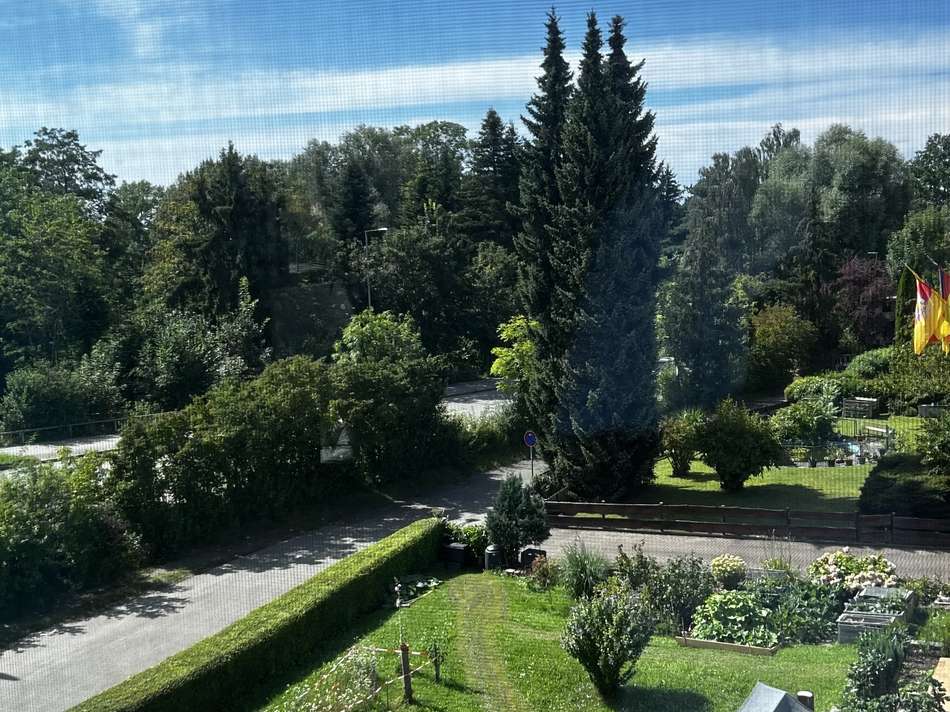 Ausblick