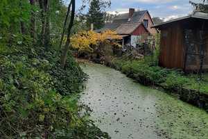 Kleines Juwel am Fließ – Oberspreewald-Lausitz (Kreis) – Vorschaubild 11
