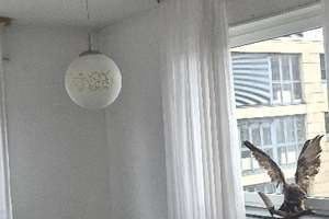 Schöne 2-ZKB-Wohnung mit Balkon in mitten der Mannheimer City – 68161 Innenstadt/Jungbusch, Mannheim – Vorschaubild 10