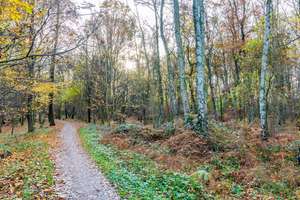 Property thumbnail 15