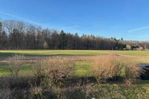 Buchen-Einbach - Ihr sonniges Zuhause - Einfamilienhaus mit Einliegerwohnung
 – Die vollständige Adresse der Immobilie erhältst du vom Anbieter., 74722 Buchen (Odenwald) – Vorschaubild 5