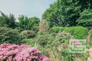 Charmantes Zweifamilienhaus mit großem Gartenjuwel am Naturschutzgebiet! – Heideweg 23, 40789 Mettmann (Kreis) – Vorschaubild 5