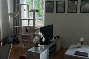 Zentrale 2 Zimmerwohnung mit Bad und WC – Plateniustr. 18, 42105 Elberfeld, Wuppertal – Vorschaubild 10