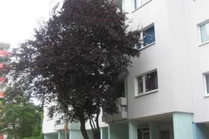Neue Wohnung, neues Glück! Praktische 3-Zi.-Wohnung mit Balkon sucht Sie! – Den-Haager-Straße 8, 97084 Heuchelhof, Würzburg – Vorschaubild 1