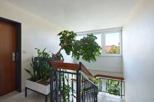 Attraktive, großzügige Dachterrassen-Wohnung mit Alpenblick – Die vollständige Adresse der Immobilie erhältst du vom Anbieter., 80796 Am Luitpoldpark, München – Vorschaubild 3